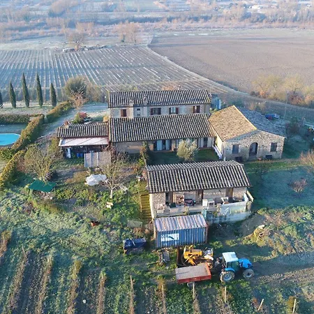 Agriturismo Il Poggio Di Orvieto-2